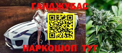 стафф Партизанск