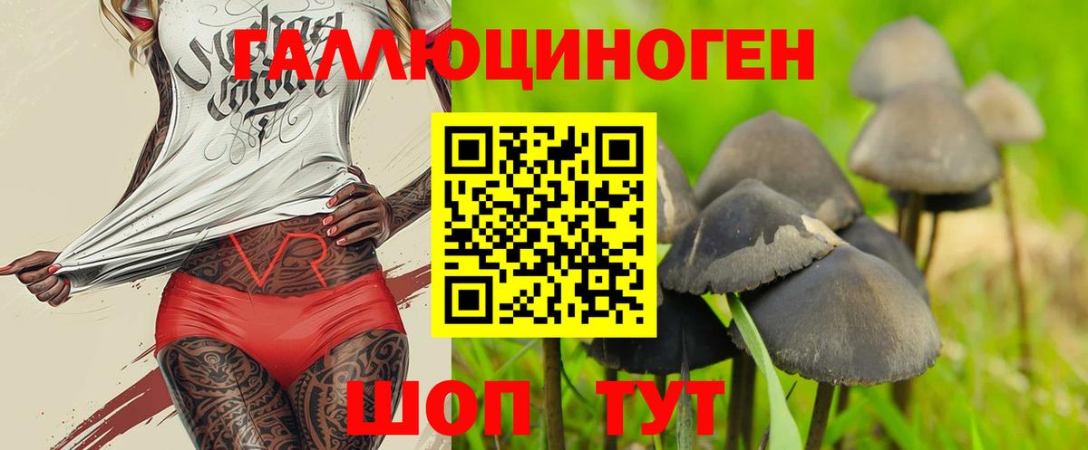 Псилоцибиновые грибы GOLDEN TEACHER Волоколамск