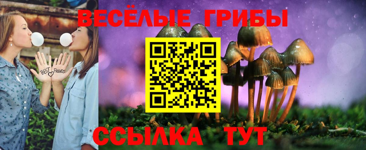 Галлюциногенные грибы Psilocybe  Псилоцибиновые грибы Magic Shrooms  Волоколамск  Вход с VPN 